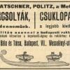 Advertentie 1911 schaatsenmaker Emil Katschner, Police nad Metují (Tsjechië)